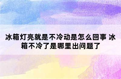 冰箱灯亮就是不冷动是怎么回事 冰箱不冷了是哪里出问题了